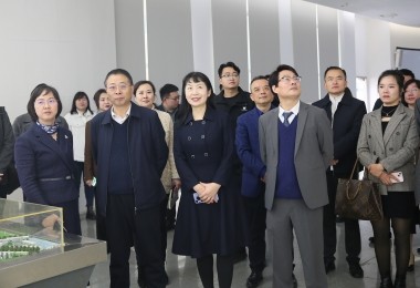 華時捷科技參加湘江新區(qū)“結(jié)伴同行·海外領(lǐng)秀”座談會，共謀國際化發(fā)展新路徑